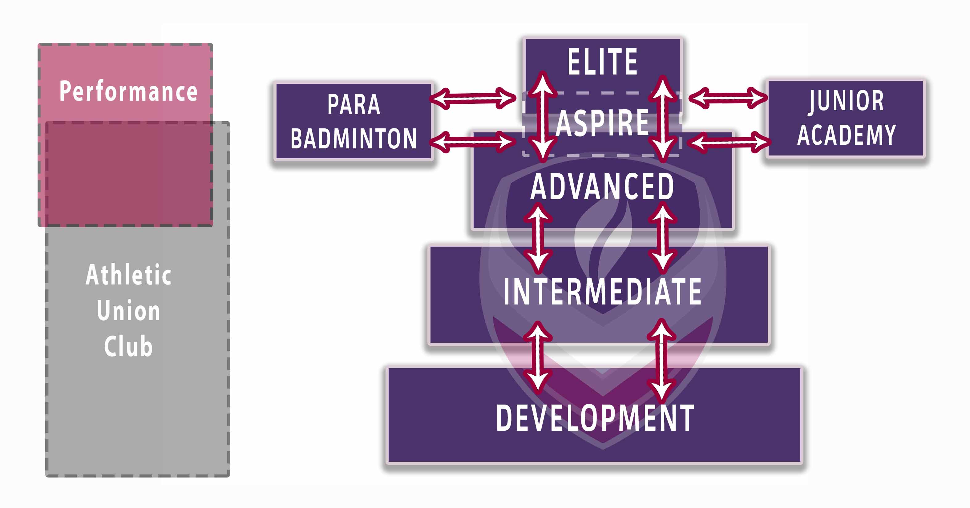 Badminton Pathway Diagram